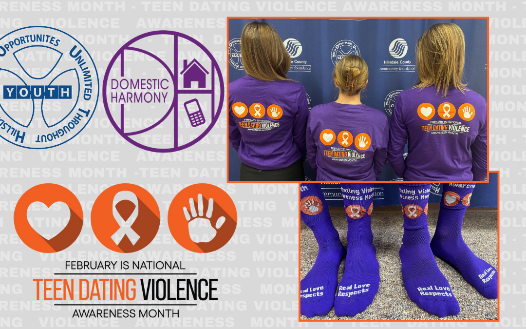 YAC AND DOMESTIC HARMONY PARTNER WITH HILLSDALE COUNTY SCHOOLS TO PROMOTE TEEN DATING VIOLENCE AWARENESS MONTH